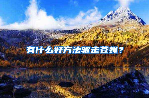 有什么好方法驱走苍蝇？