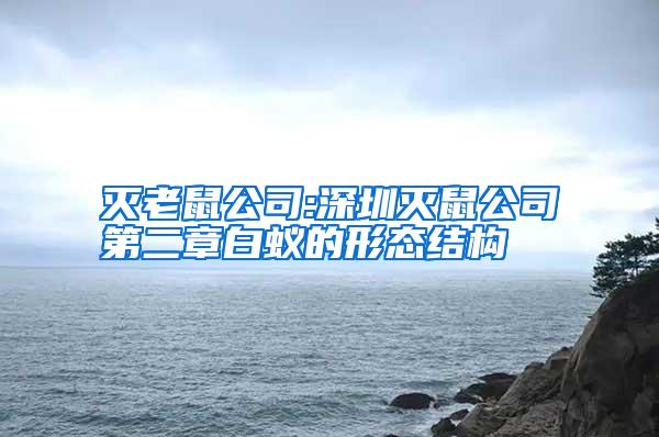 灭老鼠公司:深圳灭鼠公司第二章白蚁的形态结构