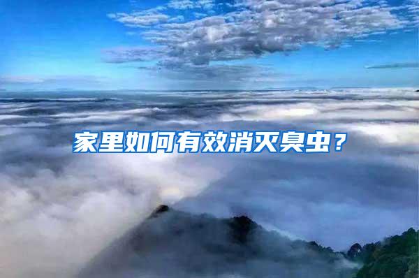 家里如何有效消灭臭虫?