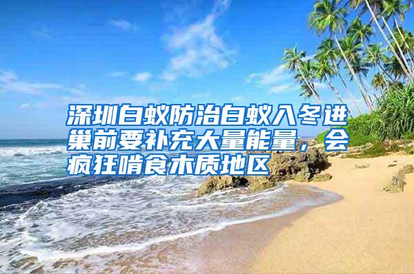 深圳白蚁防治白蚁入冬进巢前要补充大量能量，会疯狂啃食木质地区