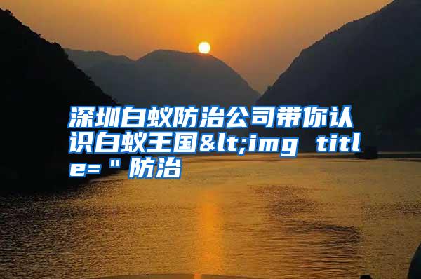 深圳白蚁防治公司带你认识白蚁王国<img title="防治