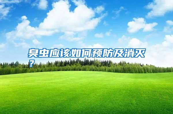 臭虫应该如何预防及消灭?