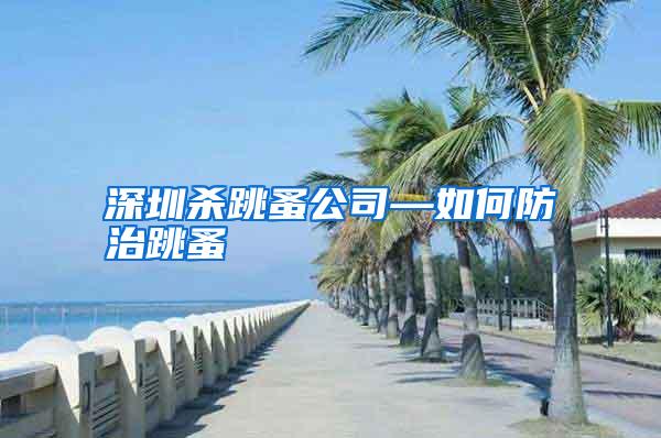 深圳杀跳蚤公司—如何防治跳蚤