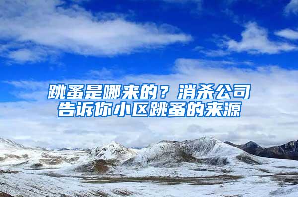 跳蚤是哪来的？消杀公司告诉你小区跳蚤的来源