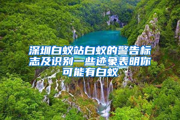 深圳白蚁站白蚁的警告标志及识别一些迹象表明你可能有白蚁