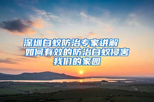 深圳白蚁防治专家讲解  如何有效的防治白蚁侵害我们的家园