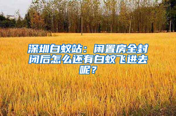 深圳白蚁站：闲置房全封闭后怎么还有白蚁飞进去呢？