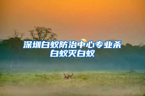 深圳白蚁防治中心专业杀白蚁灭白蚁