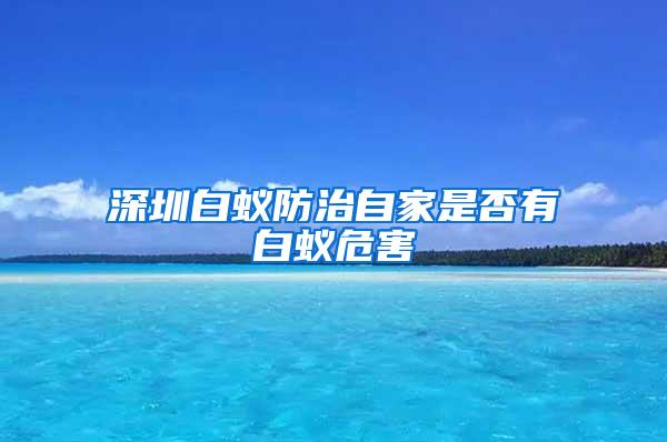 深圳白蚁防治自家是否有白蚁危害