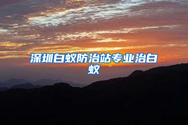 深圳白蚁防治站专业治白蚁
