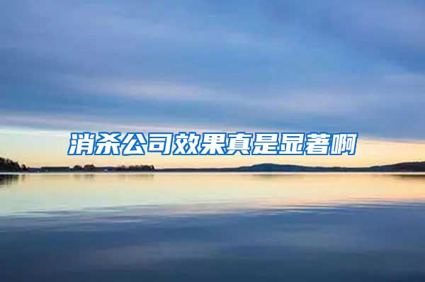 消杀公司效果真是显著啊
