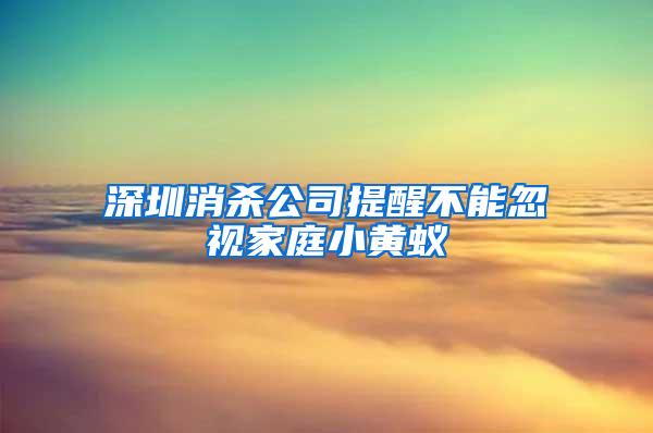 深圳消杀公司提醒不能忽视家庭小黄蚁