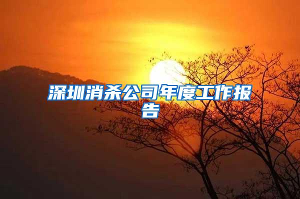 深圳消杀公司年度工作报告