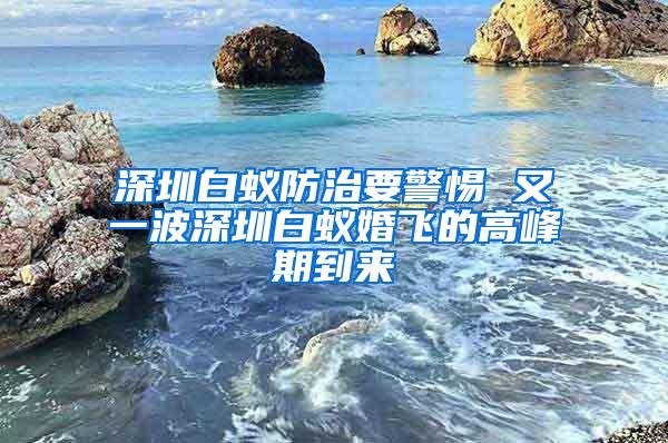 深圳白蚁防治要警惕 又一波深圳白蚁婚飞的高峰期到来