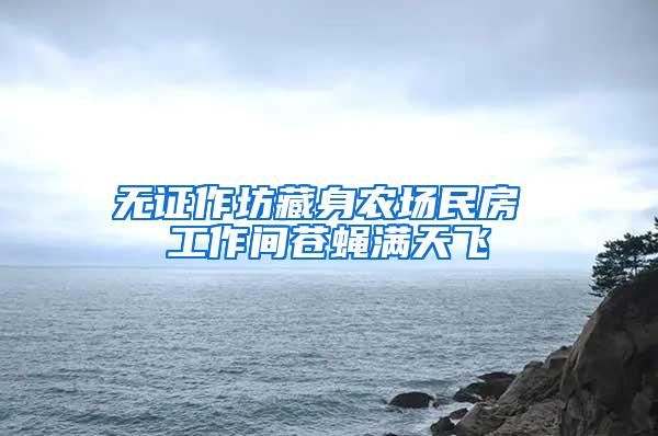 无证作坊藏身农场民房 工作间苍蝇满天飞
