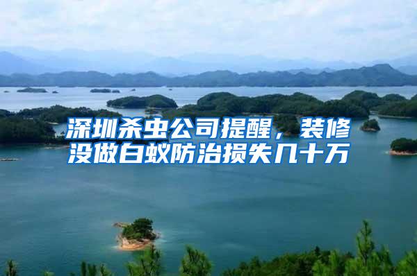 深圳杀虫公司提醒，装修没做白蚁防治损失几十万