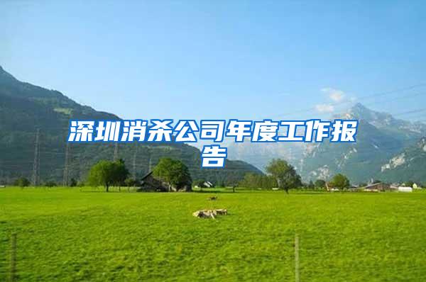 深圳消杀公司年度工作报告