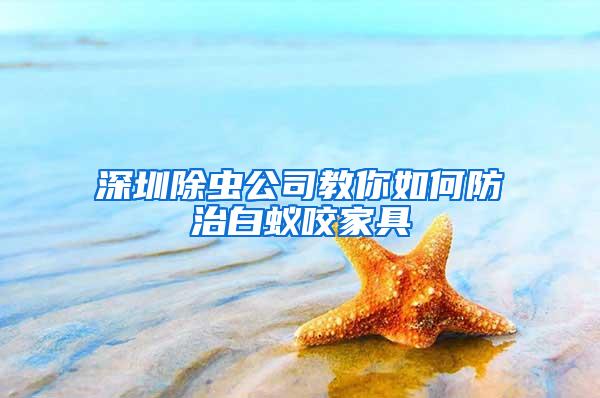 深圳除虫公司教你如何防治白蚁咬家具