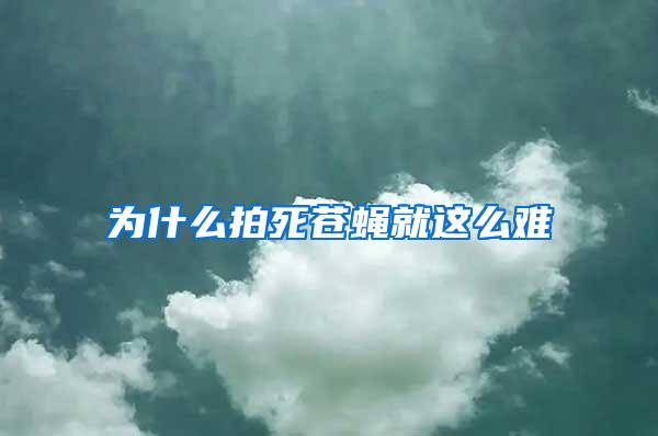 为什么拍死苍蝇就这么难