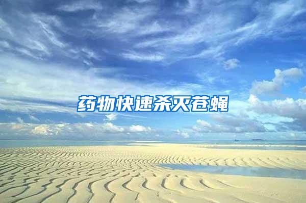 药物快速杀灭苍蝇
