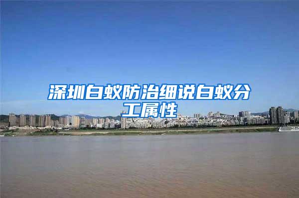 深圳白蚁防治细说白蚁分工属性