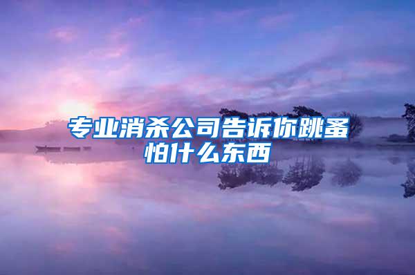 专业消杀公司告诉你跳蚤怕什么东西