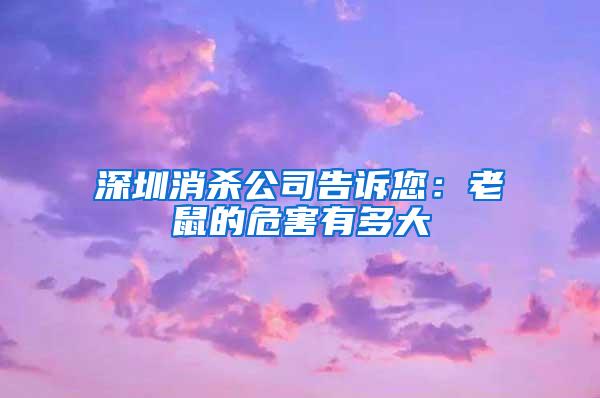 深圳消杀公司告诉您：老鼠的危害有多大