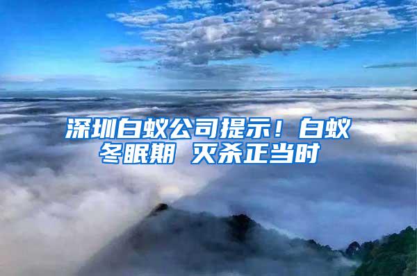 深圳白蚁公司提示！白蚁冬眠期 灭杀正当时