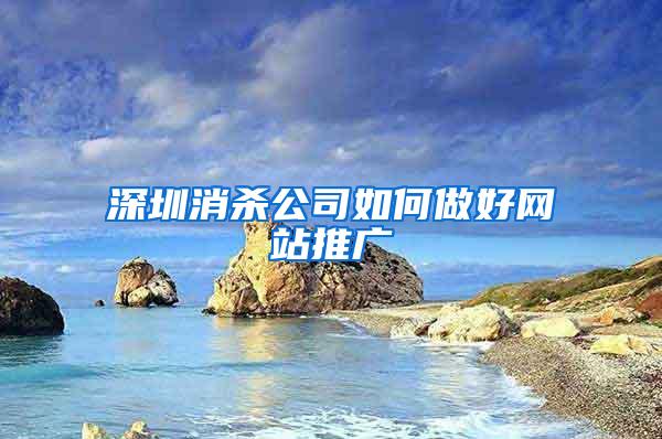 深圳消杀公司如何做好网站推广