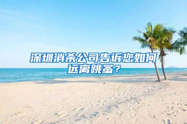 深圳消杀公司告诉您如何远离跳蚤？