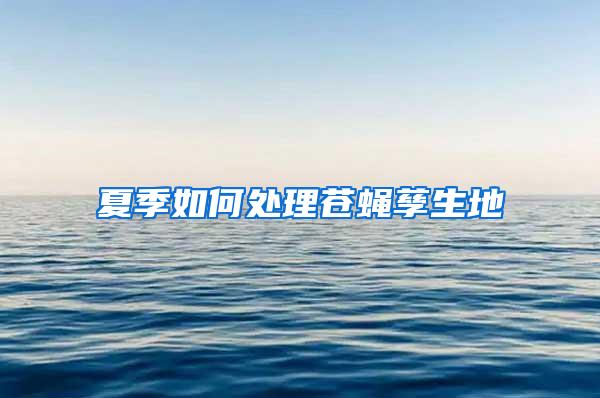 夏季如何处理苍蝇孳生地