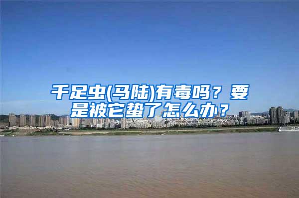 千足虫(马陆)有毒吗？要是被它蛰了怎么办？