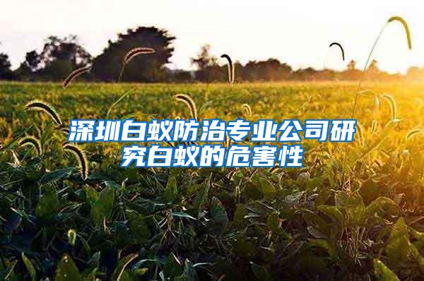深圳白蚁防治专业公司研究白蚁的危害性