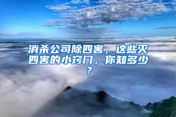 消杀公司除四害，这些灭四害的小窍门，你知多少？