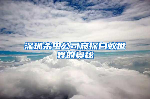 深圳杀虫公司窥探白蚁世界的奥秘