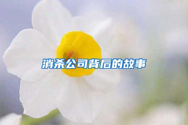 消杀公司背后的故事