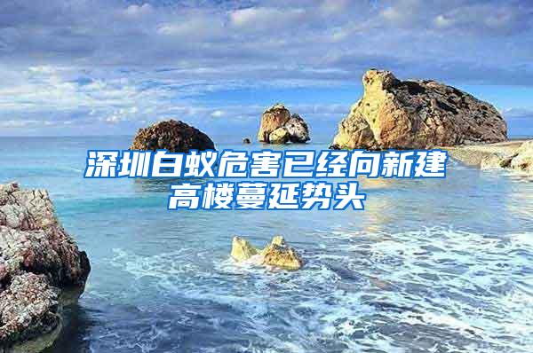 深圳白蚁危害已经向新建高楼蔓延势头