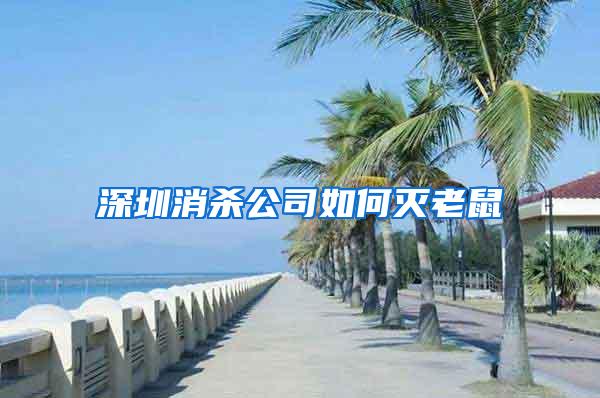 深圳消杀公司如何灭老鼠