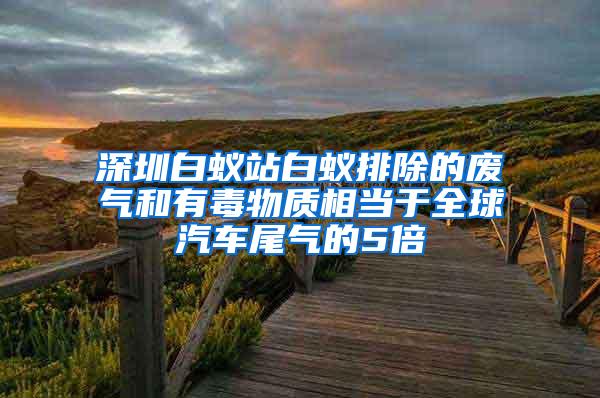 深圳白蚁站白蚁排除的废气和有毒物质相当于全球汽车尾气的5倍