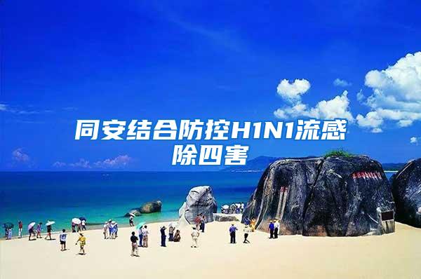 同安结合防控H1N1流感除四害