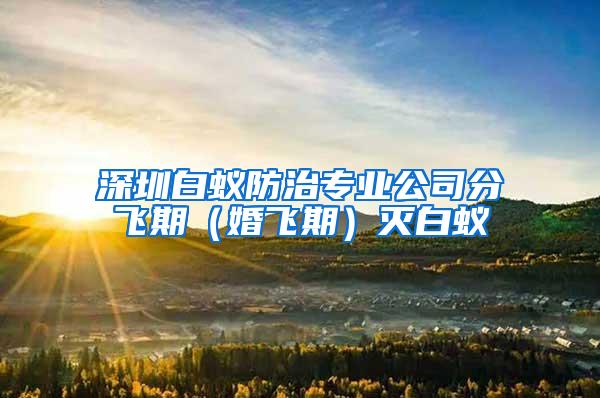 深圳白蚁防治专业公司分飞期（婚飞期）灭白蚁