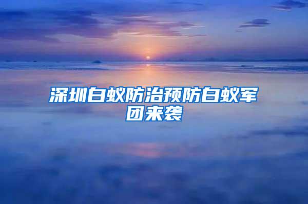 深圳白蚁防治预防白蚁军团来袭