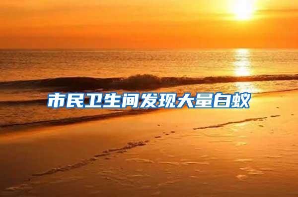 市民卫生间发现大量白蚁
