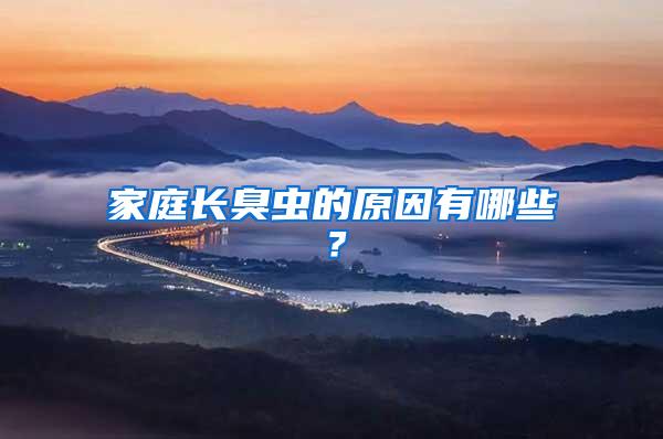 家庭长臭虫的原因有哪些？