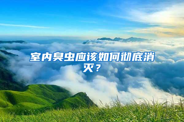 室内臭虫应该如何彻底消灭？