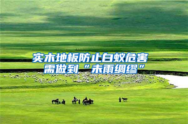 实木地板防止白蚁危害 需做到“未雨绸缪”