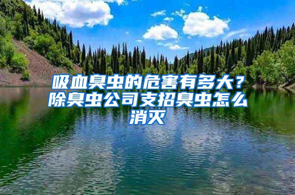 吸血臭虫的危害有多大？除臭虫公司支招臭虫怎么消灭