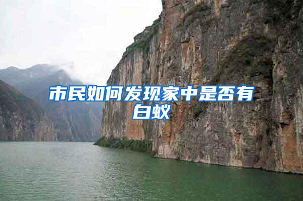 市民如何发现家中是否有白蚁
