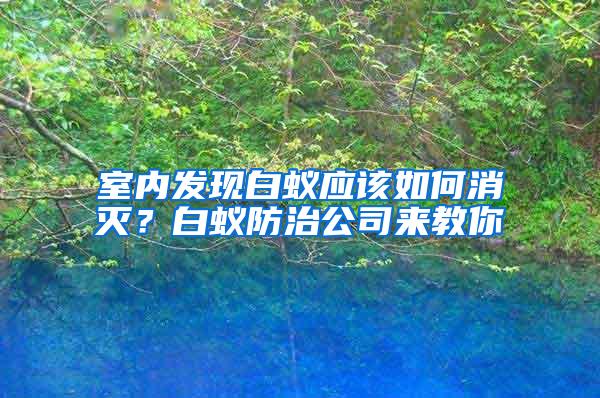 室内发现白蚁应该如何消灭？白蚁防治公司来教你