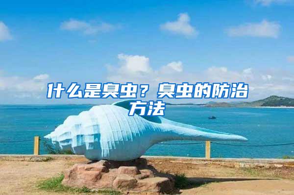 什么是臭虫？臭虫的防治方法